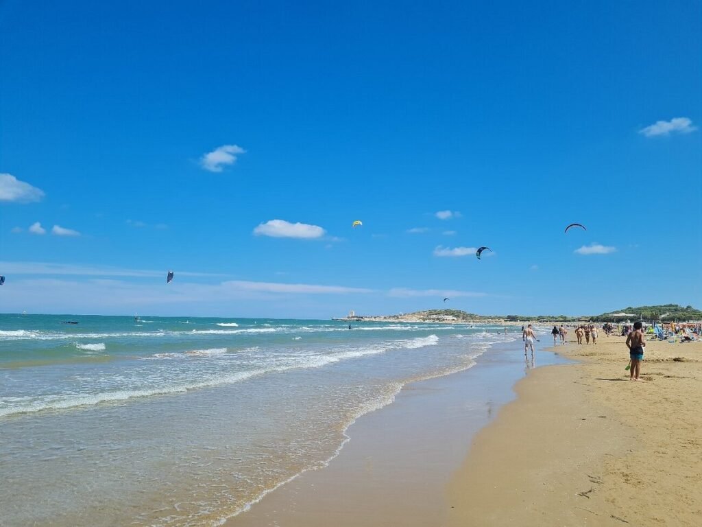 scialmarino